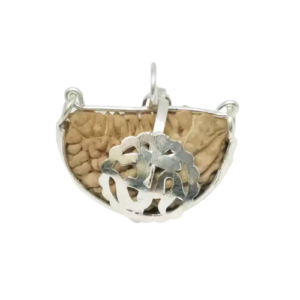 1 Mukhi Rudraksha – India