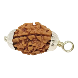 3 Mukhi Rudraksha – Nepal