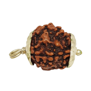 4 Mukhi Rudraksha – Nepal