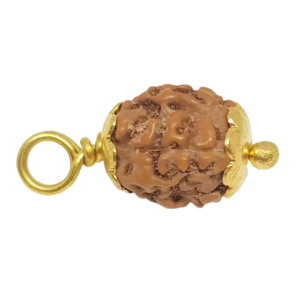 4 Mukhi Rudraksha – Indonesia