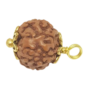 5 Mukhi Rudraksha – Indonesia