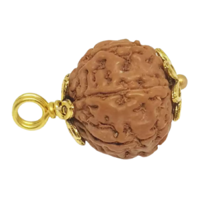 6 Mukhi Rudraksha – Indonesia