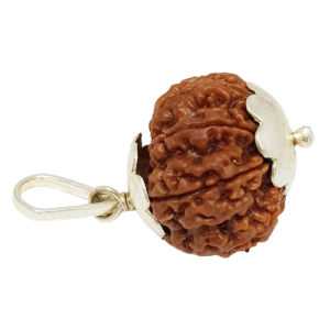 9 Mukhi Rudraksha – Rare