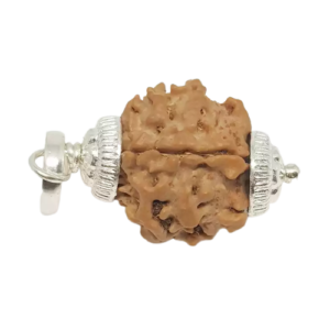 1 Mukhi Rudraksha – Rare