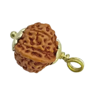 Ganesh Rudraksha – Indonesia