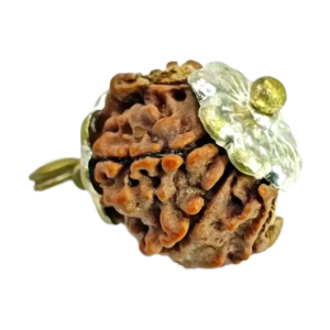 Ganesh Rudraksha – Nepal