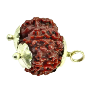 Gauri Shankar Rudraksha – Nepal