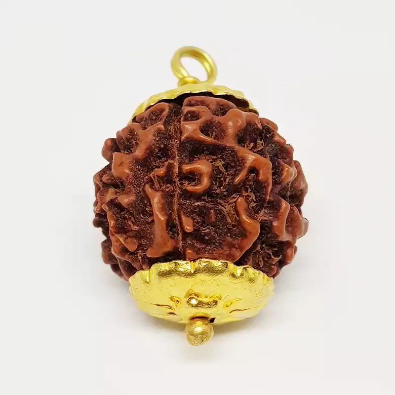 Lucky Rudraksha