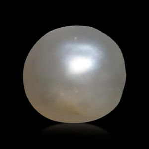 Basra Pearl Premium