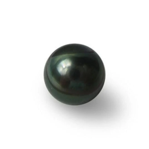 Black Pearl Normal