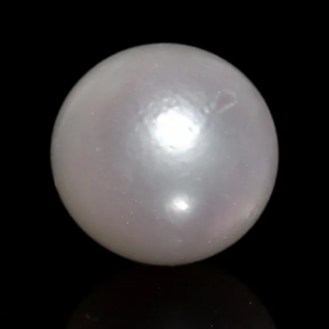 Southsea Pearl