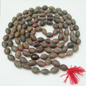 Kamal Gatta Mala